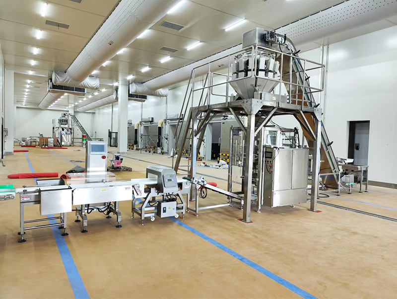 ਆਟੋਮੈਟਿਕ ਪੈਕਿੰਗ ਮਸ਼ੀਨ forzen ਭੋਜਨ