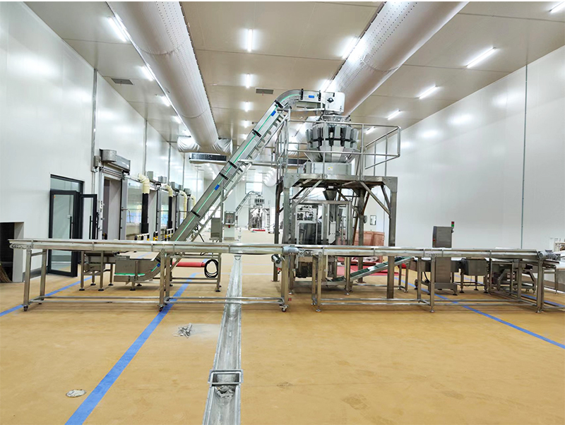 ਆਟੋਮੈਟਿਕ ਪੈਕਿੰਗ ਮਸ਼ੀਨ forzen ਭੋਜਨ